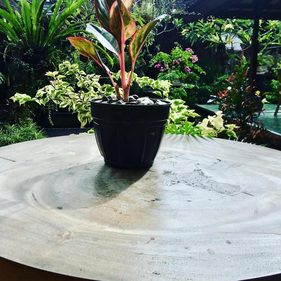 Wina Ubud B&B Exterior photo